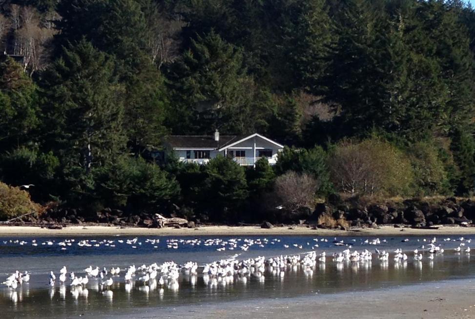 Hidden Luxury Beachfront Estate Villa Yachats Exterior photo